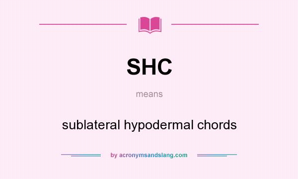 What does SHC mean? It stands for sublateral hypodermal chords