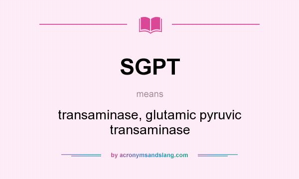 What does SGPT mean? It stands for transaminase, glutamic pyruvic transaminase