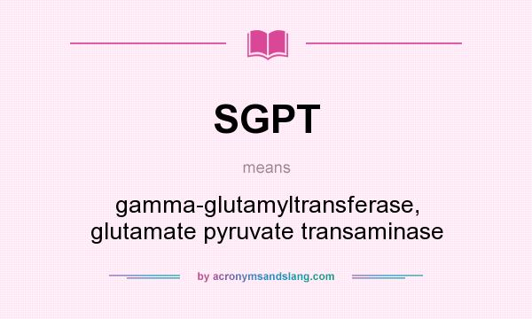 What does SGPT mean? It stands for gamma-glutamyltransferase, glutamate pyruvate transaminase