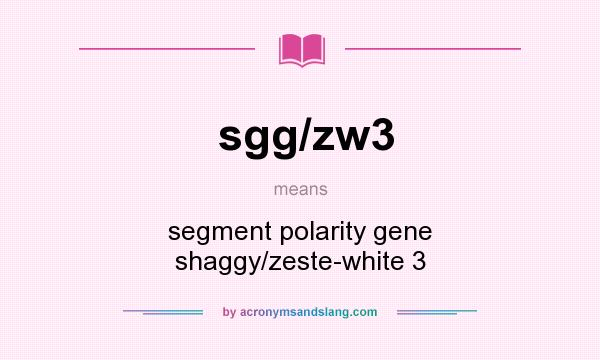 What does sgg/zw3 mean? It stands for segment polarity gene shaggy/zeste-white 3