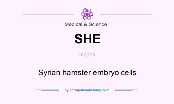 What does SHE mean? It stands for Syrian hamster embryo cells