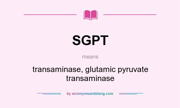 What does SGPT mean? It stands for transaminase, glutamic pyruvate transaminase