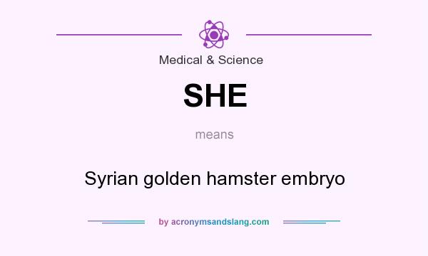What does SHE mean? It stands for Syrian golden hamster embryo