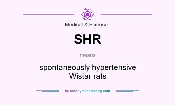 What does SHR mean? It stands for spontaneously hypertensive Wistar rats