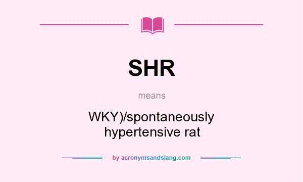 What does SHR mean? It stands for WKY)/spontaneously hypertensive rat