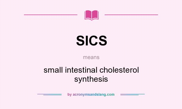 What does SICS mean? It stands for small intestinal cholesterol synthesis
