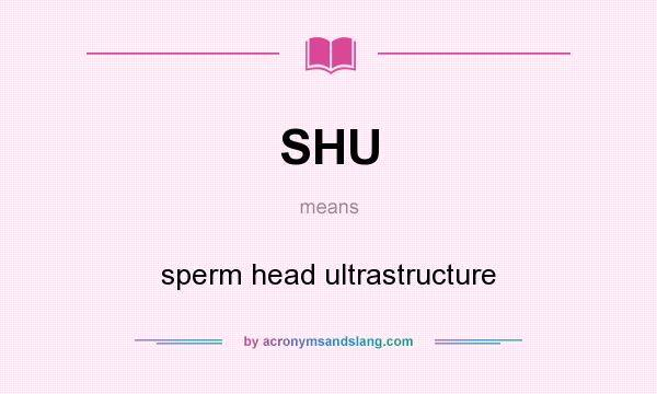 What does SHU mean? It stands for sperm head ultrastructure