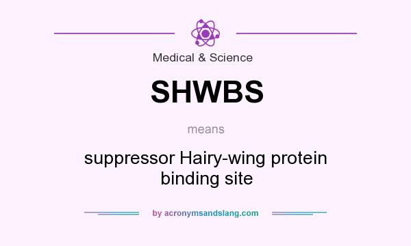 What does SHWBS mean? It stands for suppressor Hairy-wing protein binding site