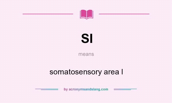 What does SI mean? It stands for somatosensory area I