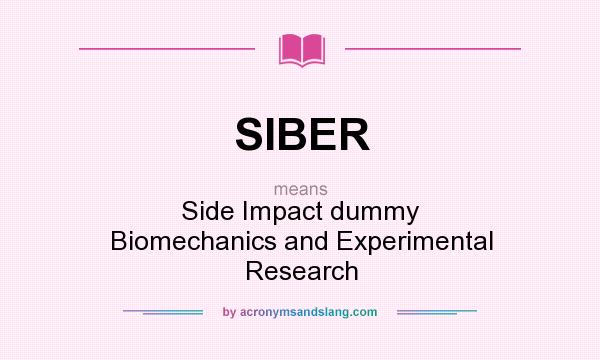 What does SIBER mean? It stands for Side Impact dummy Biomechanics and Experimental Research