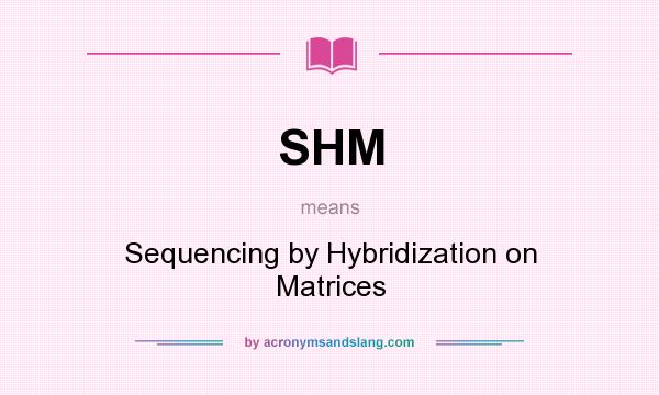 What does SHM mean? It stands for Sequencing by Hybridization on Matrices