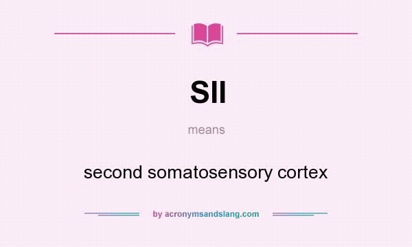 What does SII mean? It stands for second somatosensory cortex