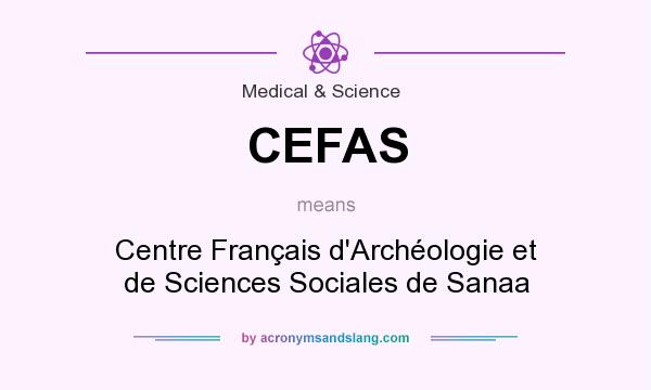 What does CEFAS mean? It stands for Centre Français d`Archéologie et de Sciences Sociales de Sanaa