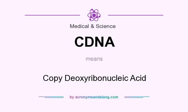 What does CDNA mean? It stands for Copy Deoxyribonucleic Acid