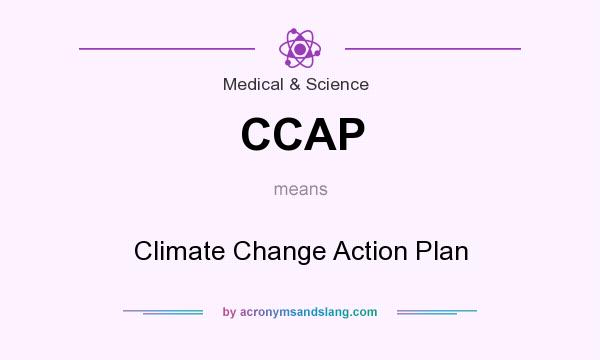 What does CCAP mean? It stands for Climate Change Action Plan