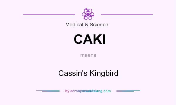 What does CAKI mean? It stands for Cassin`s Kingbird
