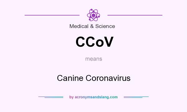 What does CCoV mean? It stands for Canine Coronavirus