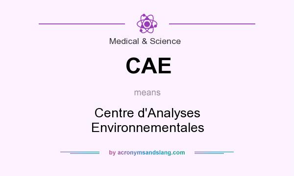 What does CAE mean? It stands for Centre d`Analyses Environnementales