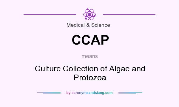 What does CCAP mean? It stands for Culture Collection of Algae and Protozoa