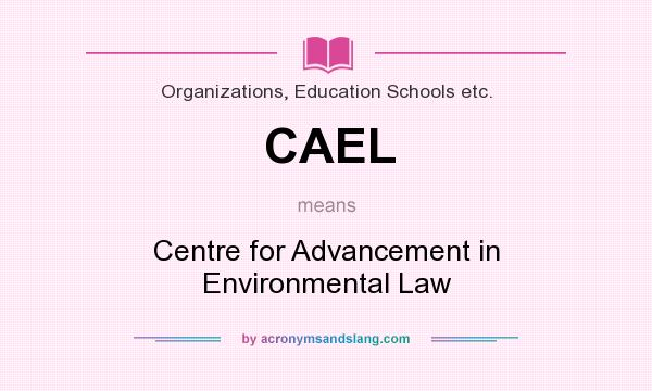 What does CAEL mean? It stands for Centre for Advancement in Environmental Law