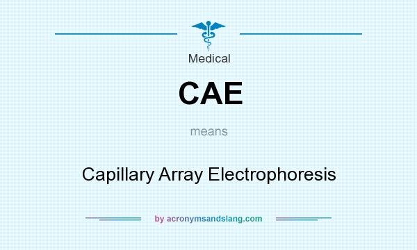 What does CAE mean? It stands for Capillary Array Electrophoresis