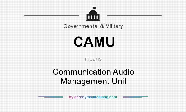 What does CAMU mean? It stands for Communication Audio Management Unit