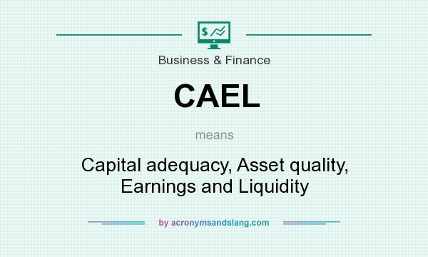 What does CAEL mean? It stands for Capital adequacy, Asset quality, Earnings and Liquidity