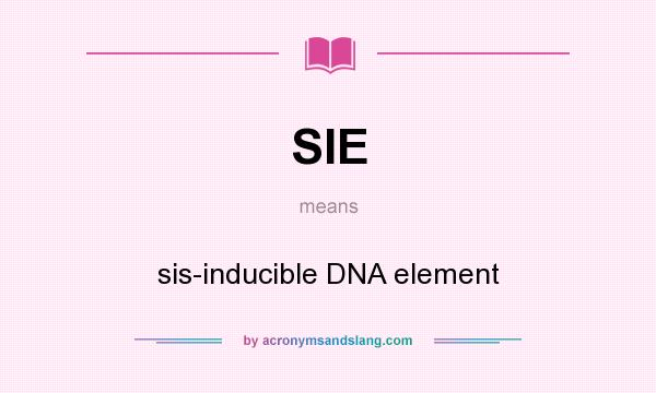 What does SIE mean? It stands for sis-inducible DNA element