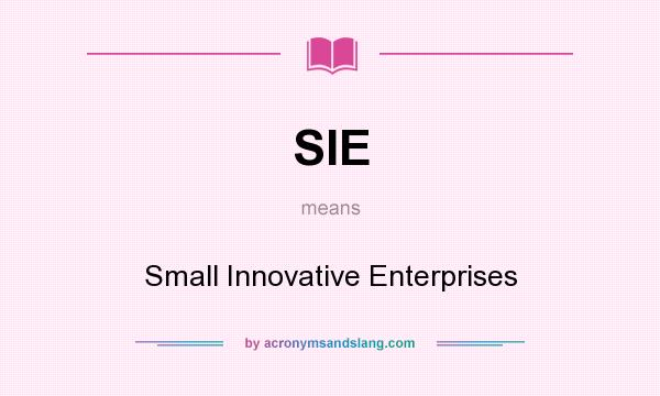 What does SIE mean? It stands for Small Innovative Enterprises