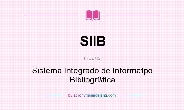 What does SIIB mean? It stands for Sistema Integrado de Informatpo Bibliogrßfica