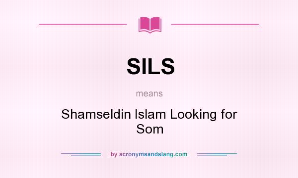 What does SILS mean? It stands for Shamseldin Islam Looking for Som