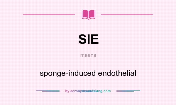 What does SIE mean? It stands for sponge-induced endothelial