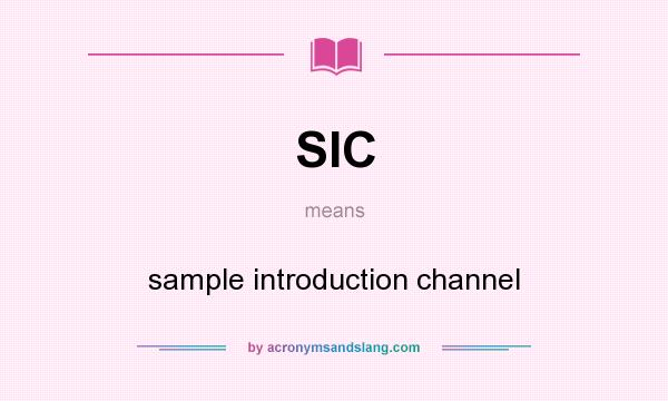 What does SIC mean? It stands for sample introduction channel