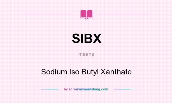 What does SIBX mean? It stands for Sodium Iso Butyl Xanthate