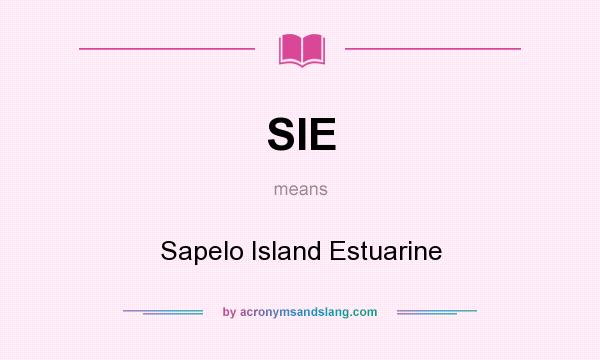 What does SIE mean? It stands for Sapelo Island Estuarine