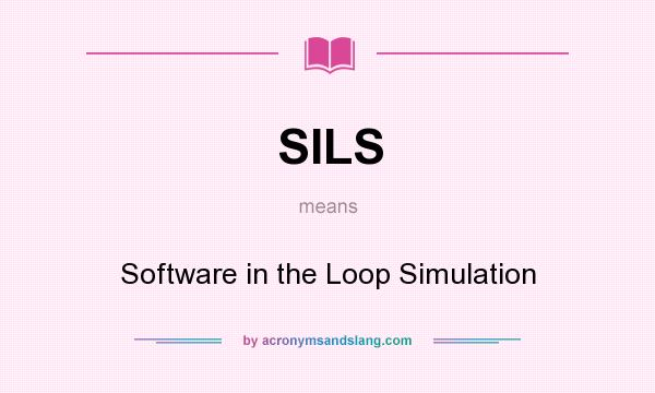 What does SILS mean? It stands for Software in the Loop Simulation