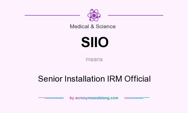 What does SIIO mean? It stands for Senior Installation IRM Official