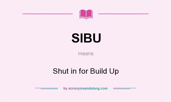 What does SIBU mean? It stands for Shut in for Build Up