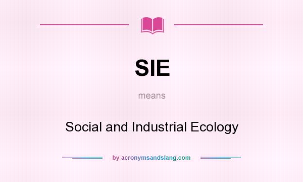 What does SIE mean? It stands for Social and Industrial Ecology