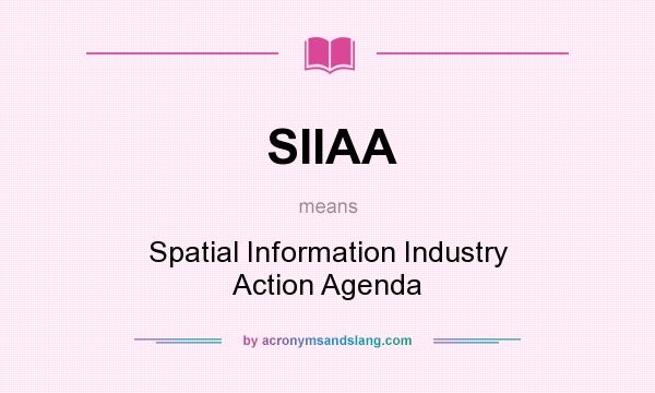 What does SIIAA mean? It stands for Spatial Information Industry Action Agenda