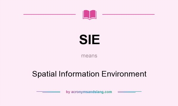 What does SIE mean? It stands for Spatial Information Environment