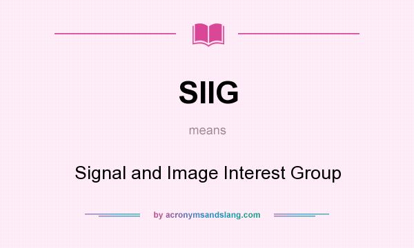 What does SIIG mean? It stands for Signal and Image Interest Group