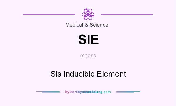 What does SIE mean? It stands for Sis Inducible Element