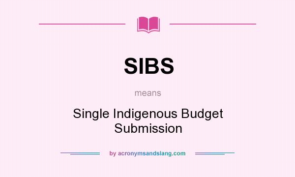 What does SIBS mean? It stands for Single Indigenous Budget Submission