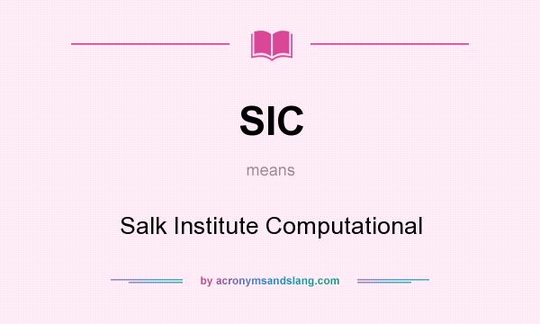 What does SIC mean? It stands for Salk Institute Computational