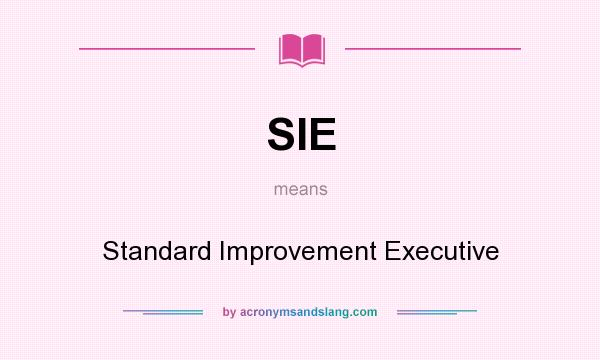What does SIE mean? It stands for Standard Improvement Executive