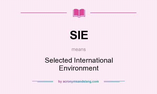 What does SIE mean? It stands for Selected International Environment