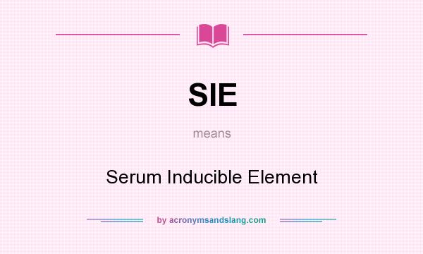 What does SIE mean? It stands for Serum Inducible Element
