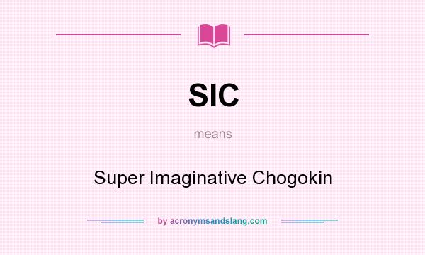 What does SIC mean? It stands for Super Imaginative Chogokin