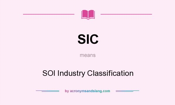 What does SIC mean? It stands for SOI Industry Classification